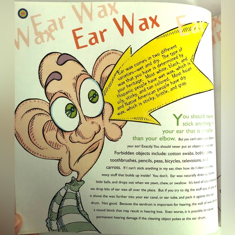 GROSSOLOGY - Picture 5 of 7